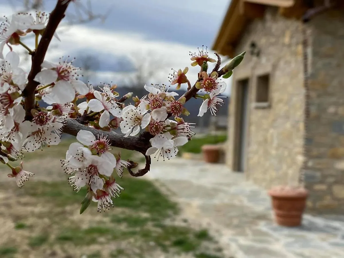 Casa Tincana Bebbio İtalya
